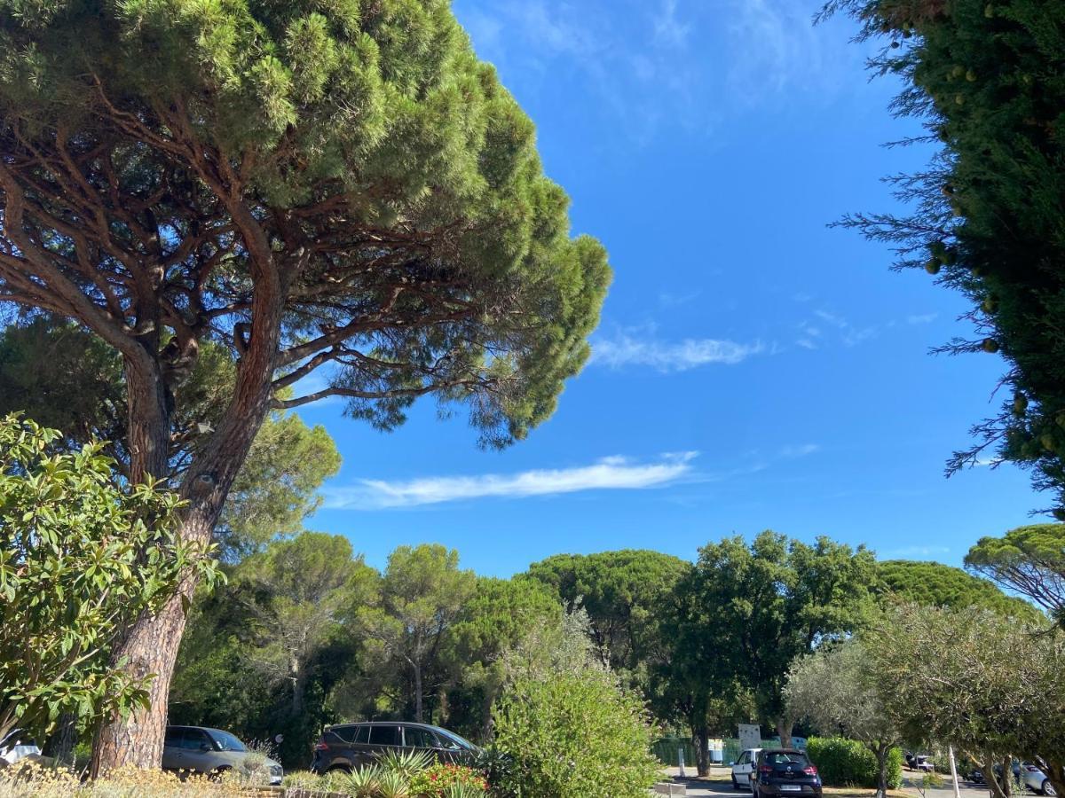 Domaine Valescure Appartement 1 Ou 2 Pieces Vue Jardin Ou Piscine Saint-Raphaël 외부 사진