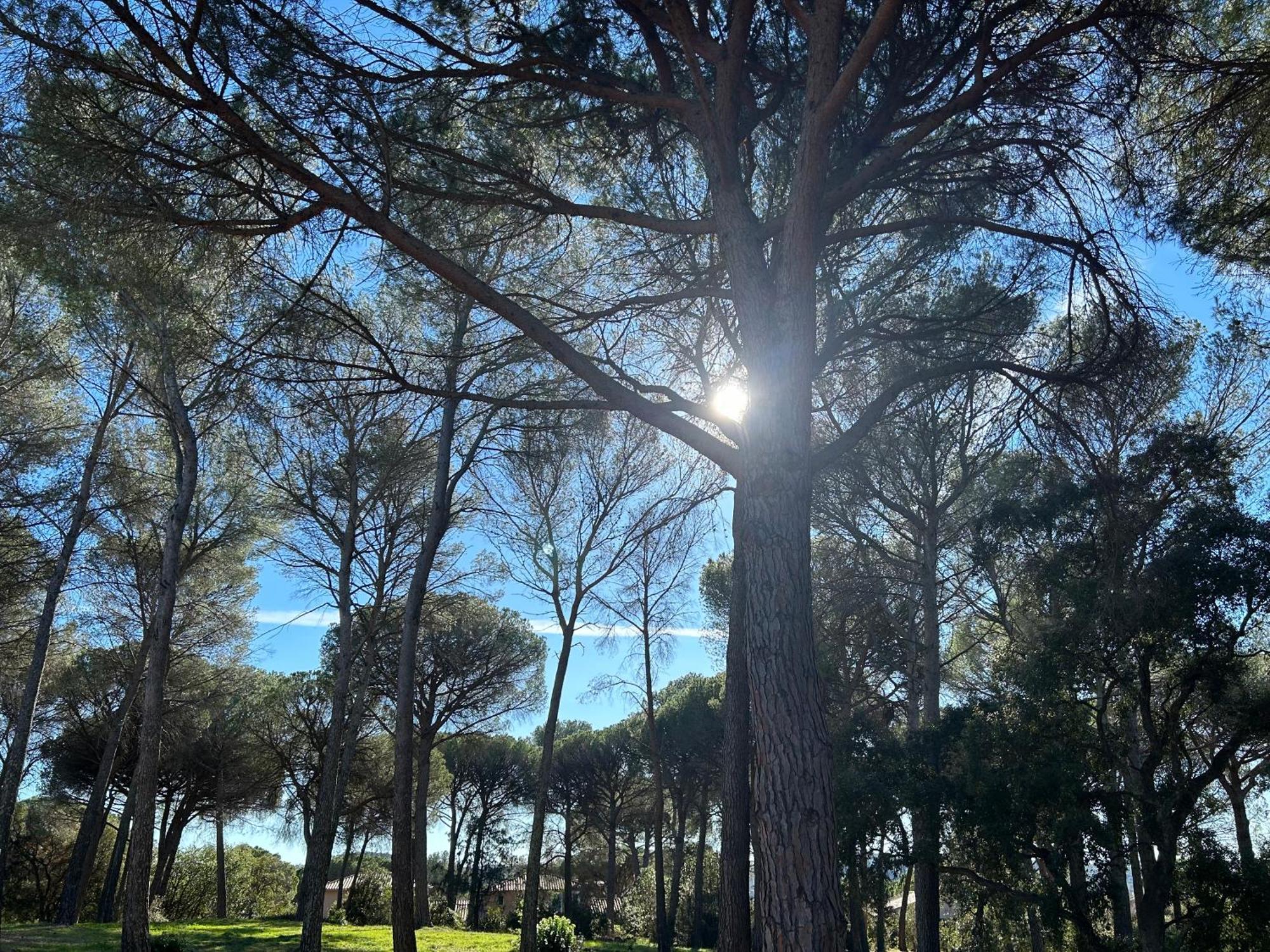 Domaine Valescure Appartement 1 Ou 2 Pieces Vue Jardin Ou Piscine Saint-Raphaël 외부 사진